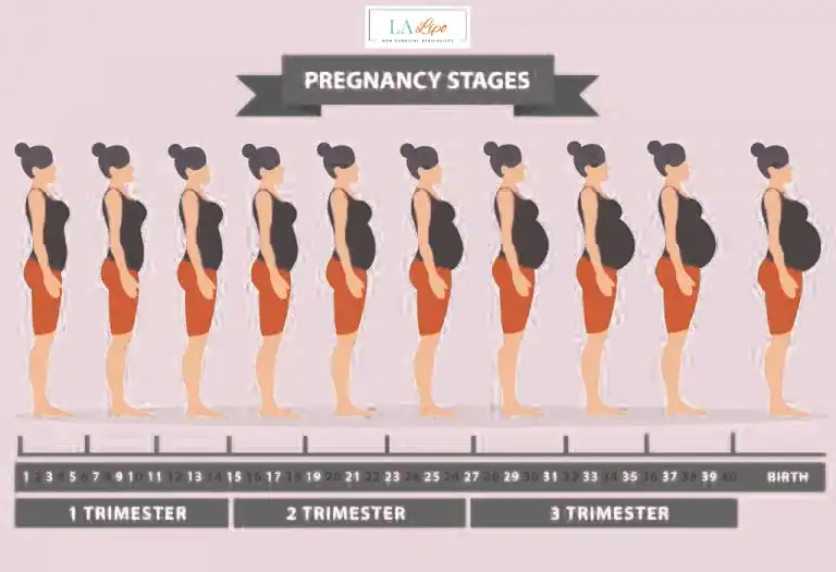 First Trimester (Weeks 1–12): Early Changes You Might Not Notice Hertfordshire